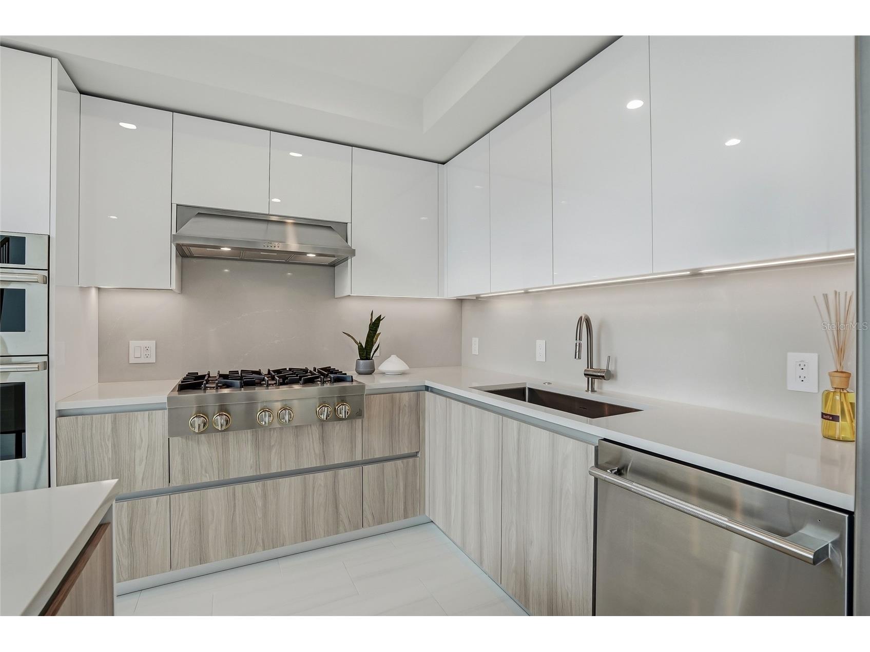 400 Central Avenue #306 Saint Petersburg FL 33701 - MIRROR LAKE TAMPA BAY TB8488567 image6