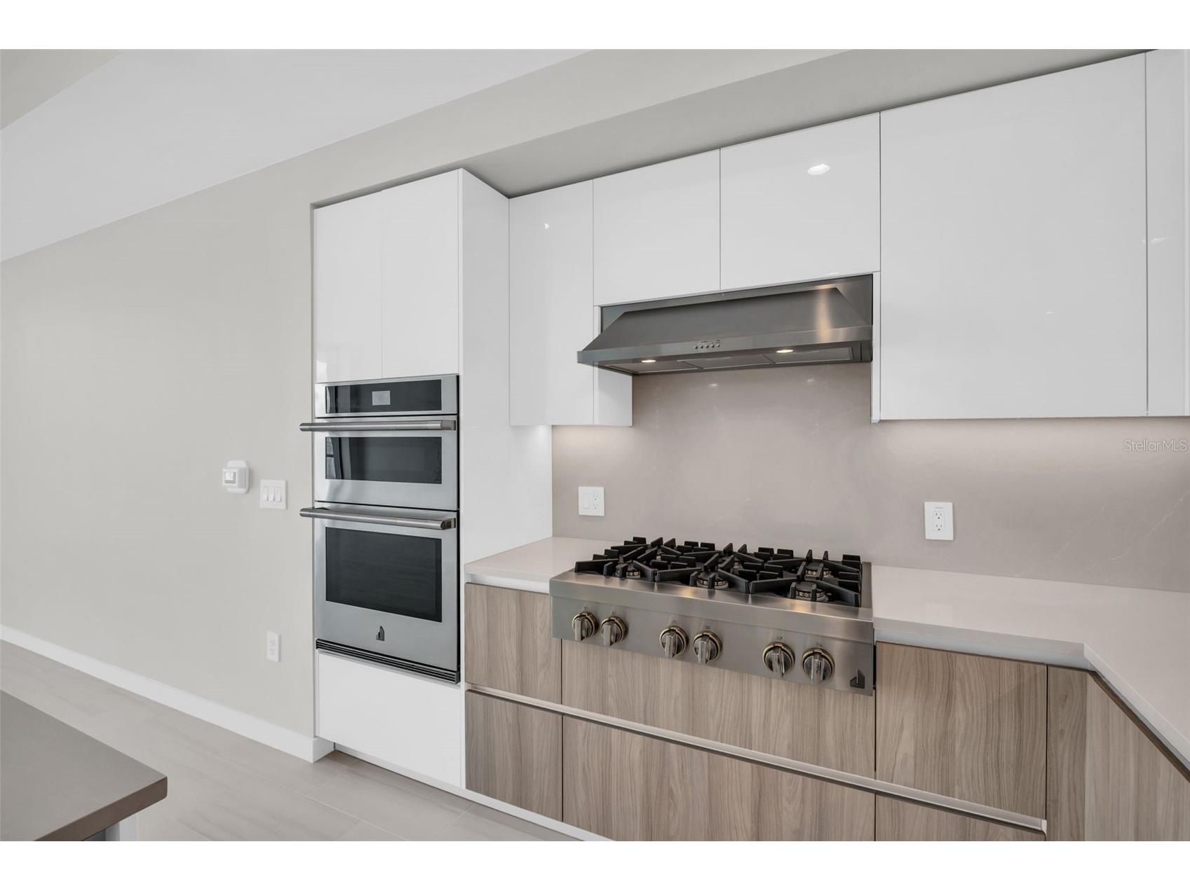 400 Central Avenue #3603 Saint Petersburg FL 33701 TB8501055 image8