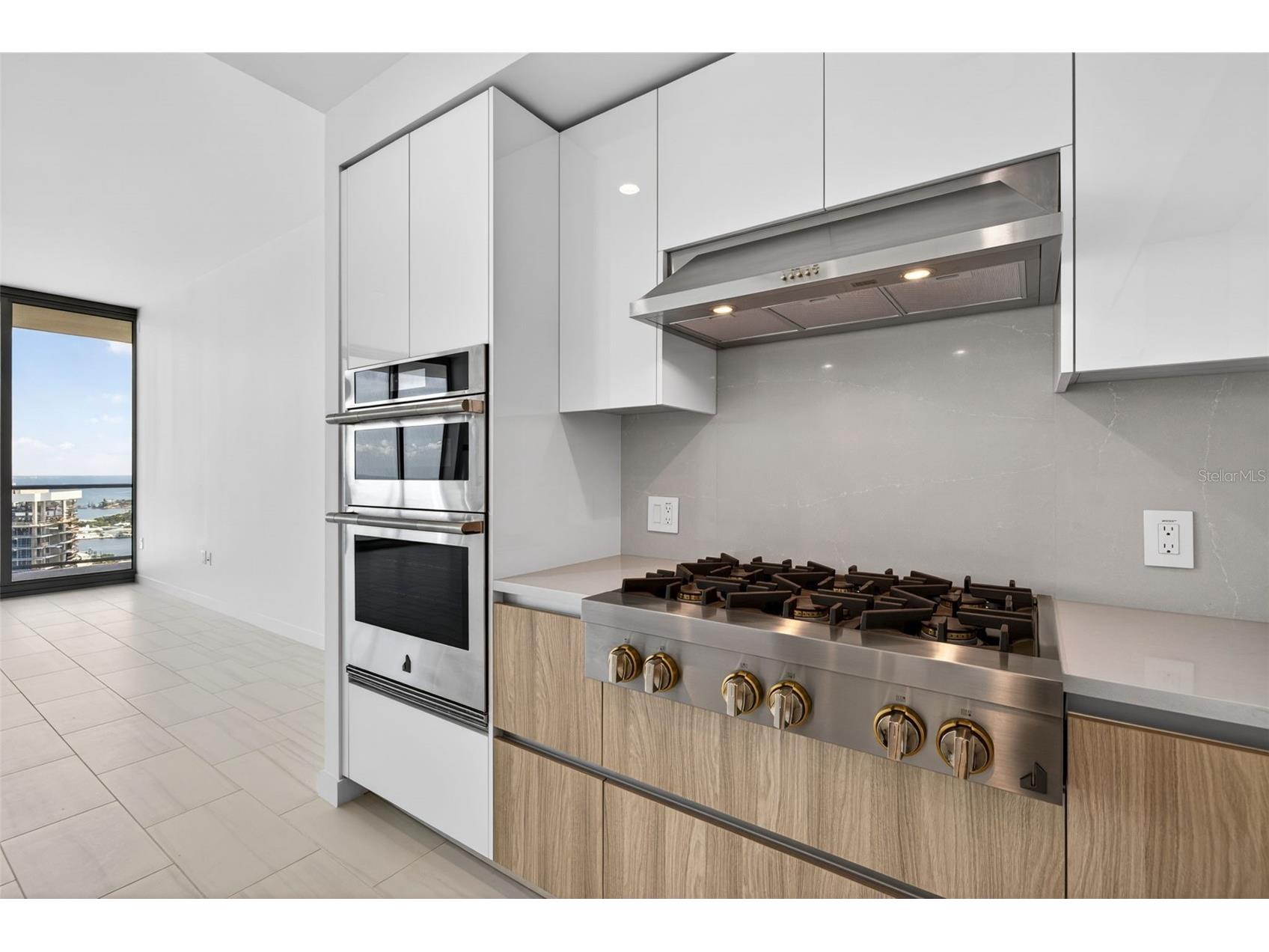 400 Central Avenue #3706 Saint Petersburg FL 33701 - TAMPA BAY & THE GULF TB8505959 image13