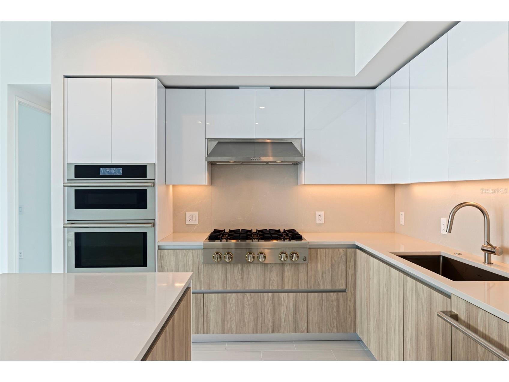 400 Central Avenue #3906 Saint Petersburg FL 33701 TB8510798 image16