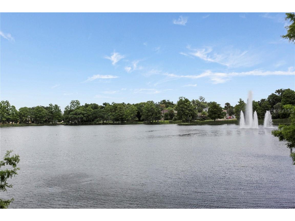 400 E Colonial Drive #1602 Orlando FL 32803 O6337772 image14