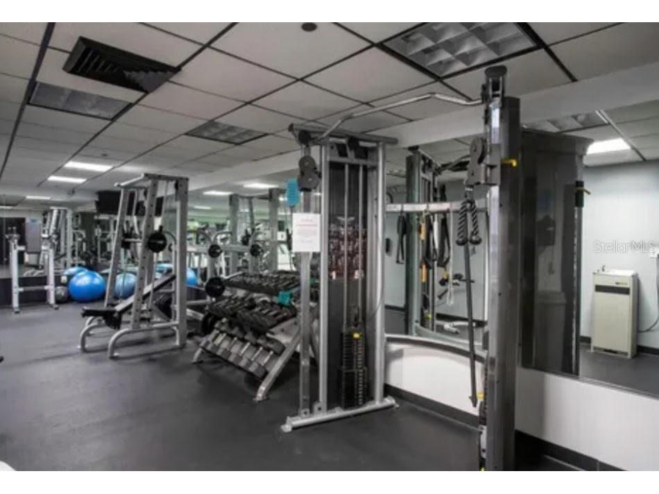 400 E Colonial Drive #910 Orlando FL 32803 O6314162 image19