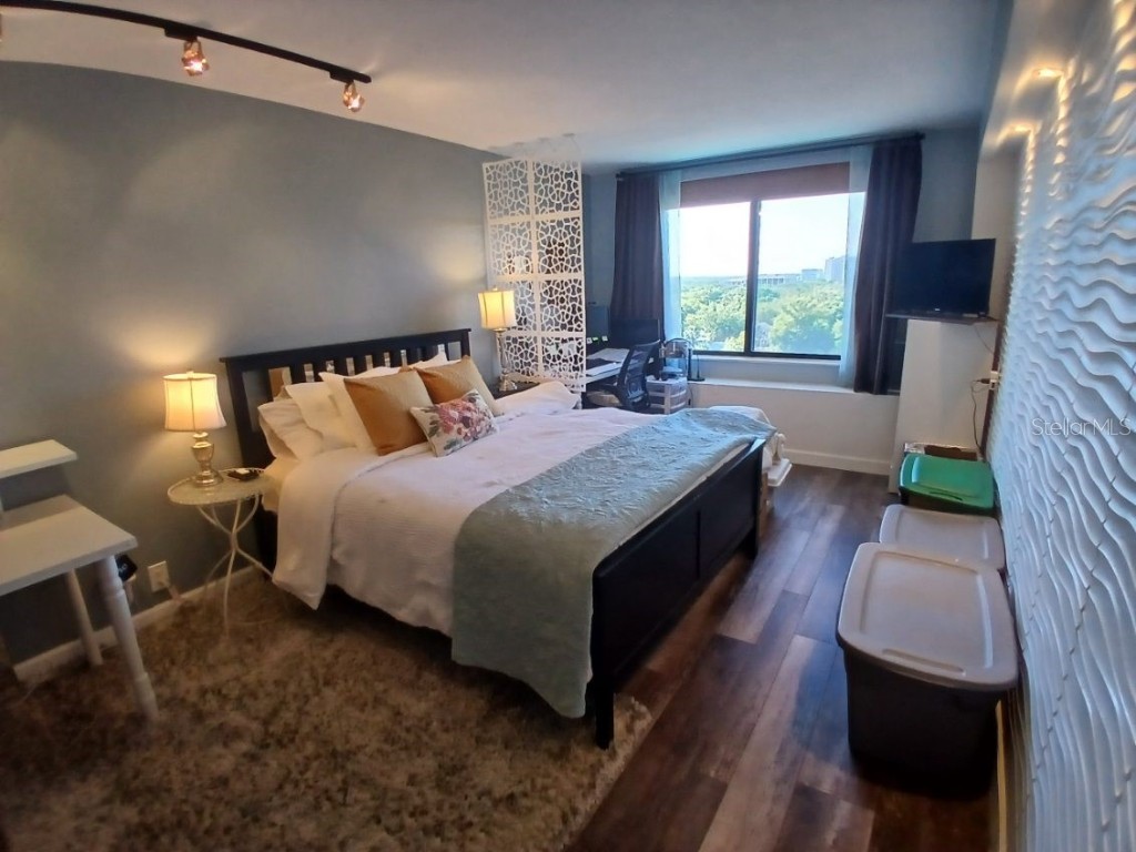 400 E Colonial Drive #910 Orlando FL 32803 O6314162 image8