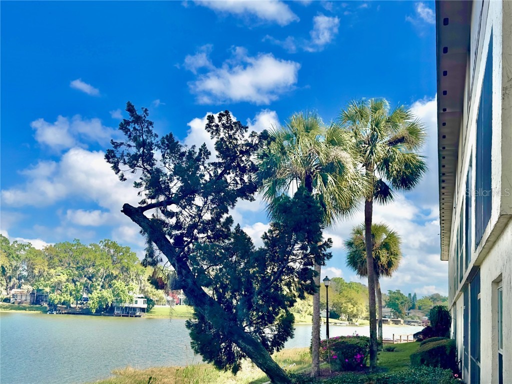 400 E Orlando Avenue #7C Ocoee FL 34761 - STARKE LAKE O6093431 image1