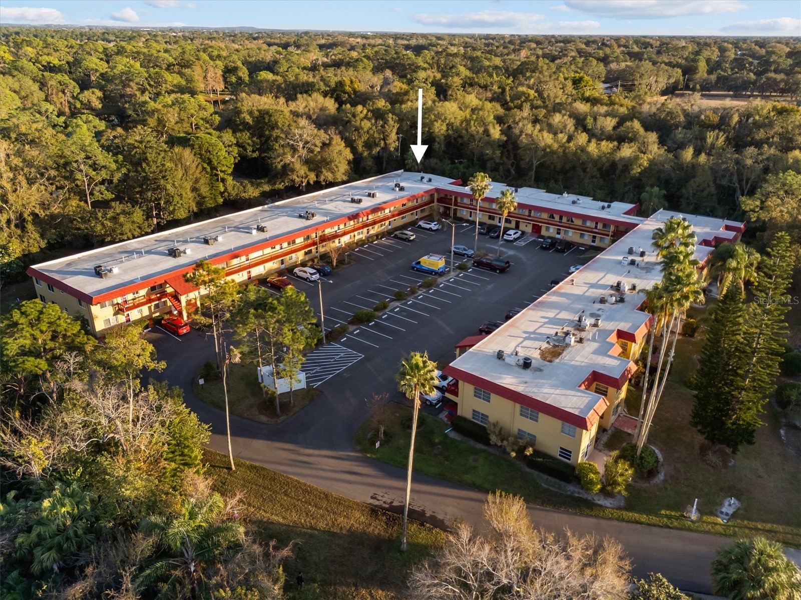 400 El Camino Drive #210 Winter Haven FL 33884 S5142500 image31