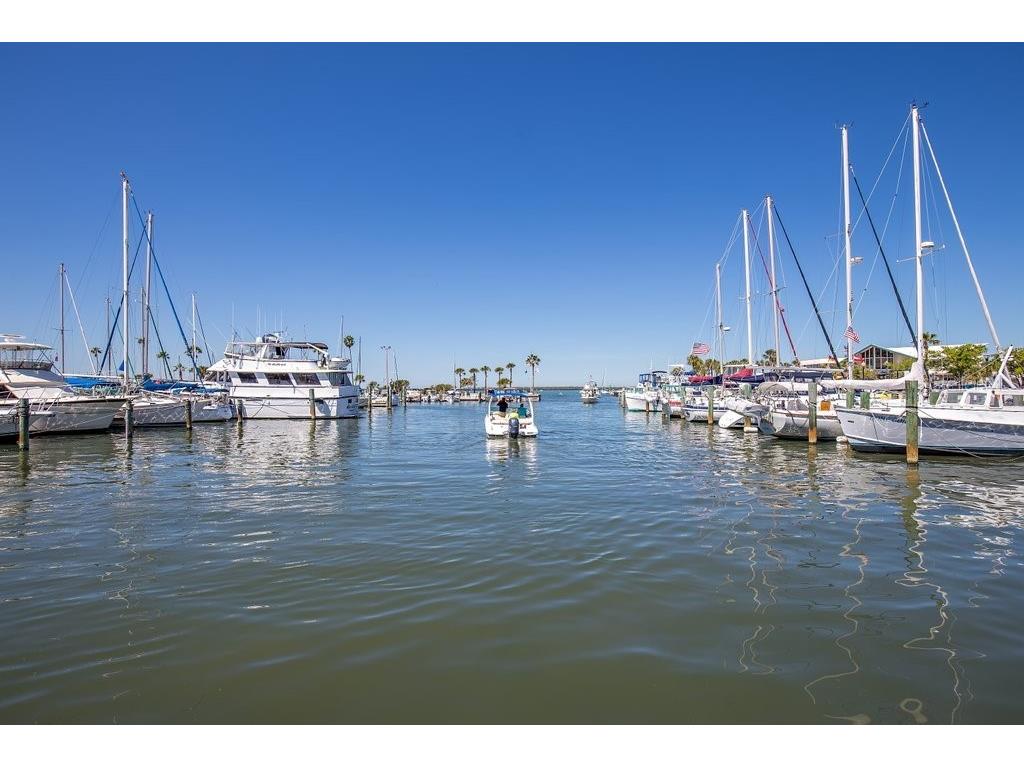 400 Glennes Lane #107 Dunedin FL 34698 TB8521771 image57