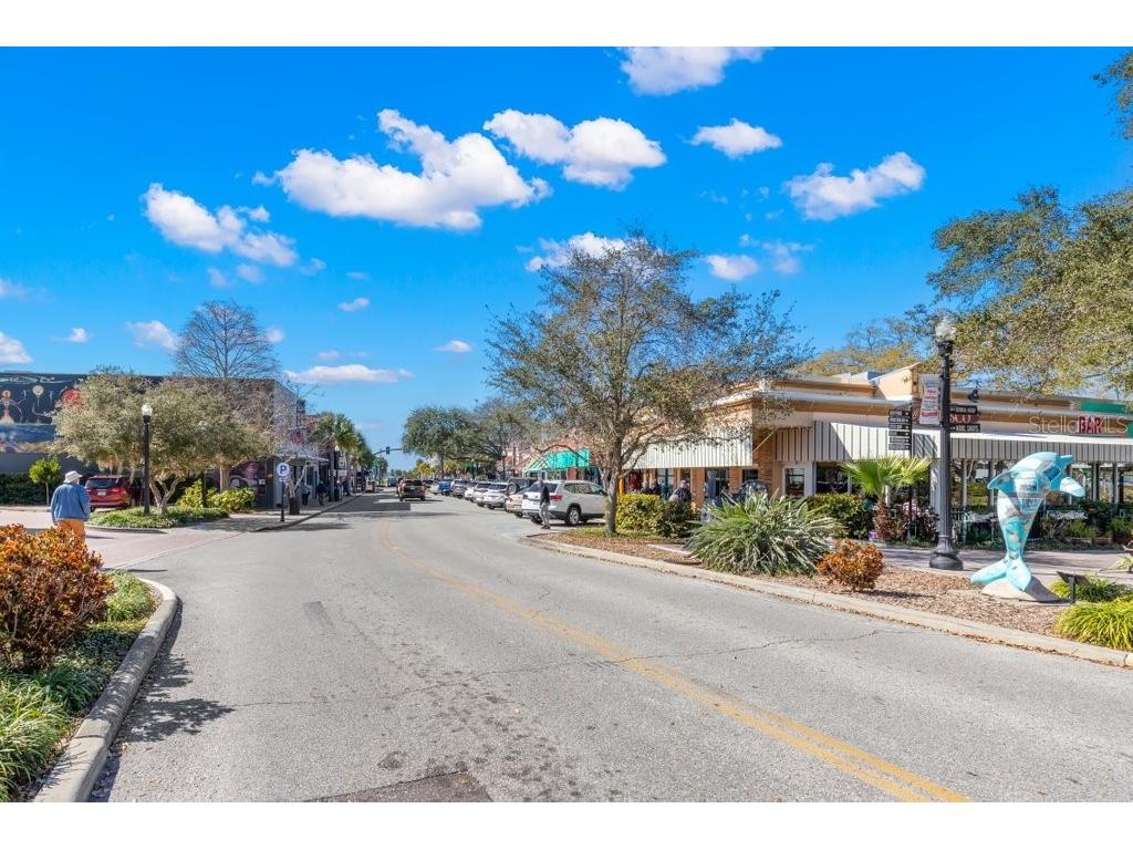 400 Glennes Lane #107 Dunedin FL 34698 TB8521771 image59