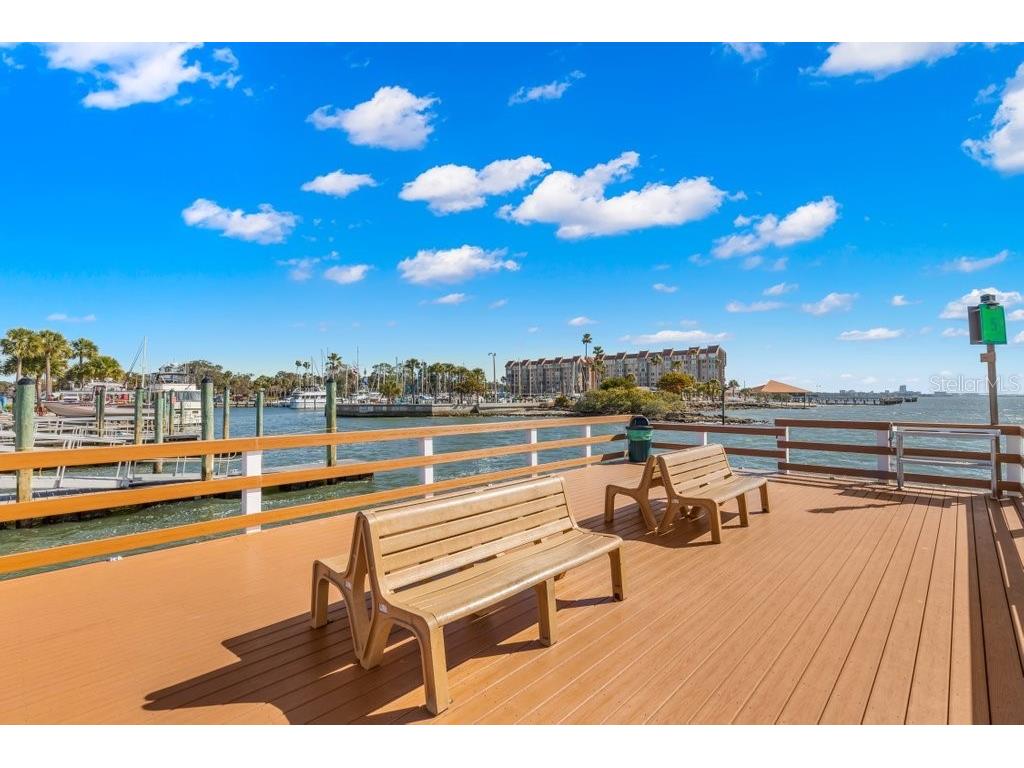 400 Glennes Lane #107 Dunedin FL 34698 TB8521771 image62