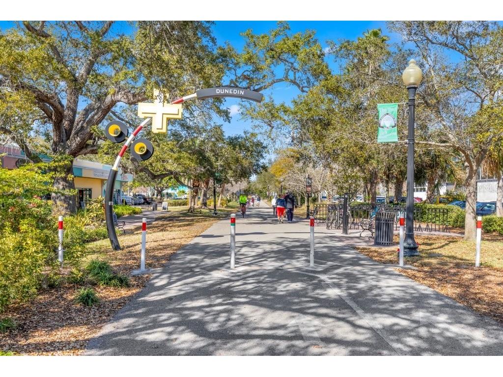 400 Glennes Lane #107 Dunedin FL 34698 TB8521771 image64