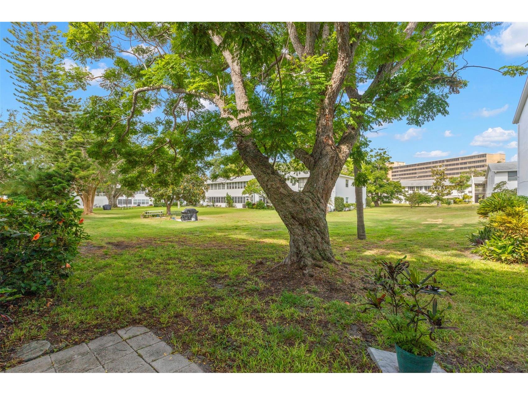 400 Glennes Lane #107 Dunedin FL 34698 TB8521771 image9