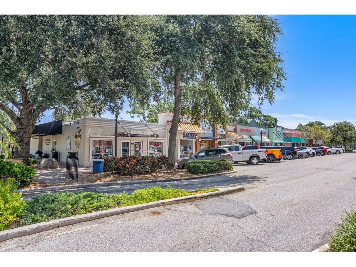 400 Glennes Lane #206 Dunedin FL 34698 TB8443811 image31