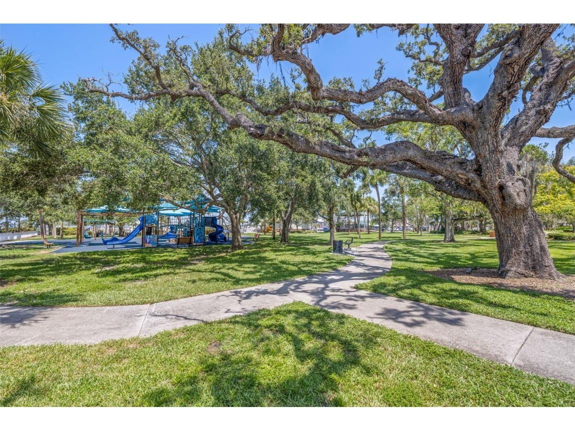 400 Glennes Lane #206 Dunedin FL 34698 TB8443811 image37