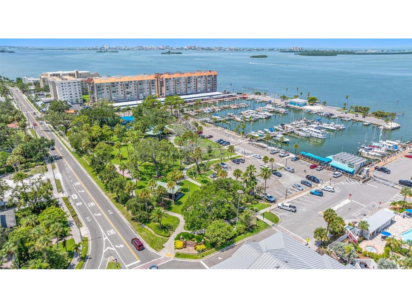 400 Glennes Lane #206 Dunedin FL 34698 TB8443811 image41