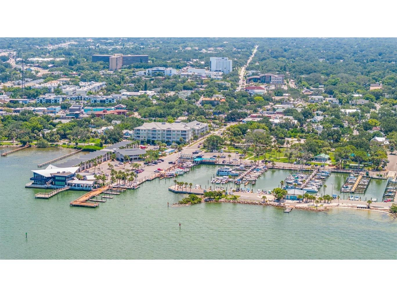 400 Glennes Lane #206 Dunedin FL 34698 TB8443811 image43