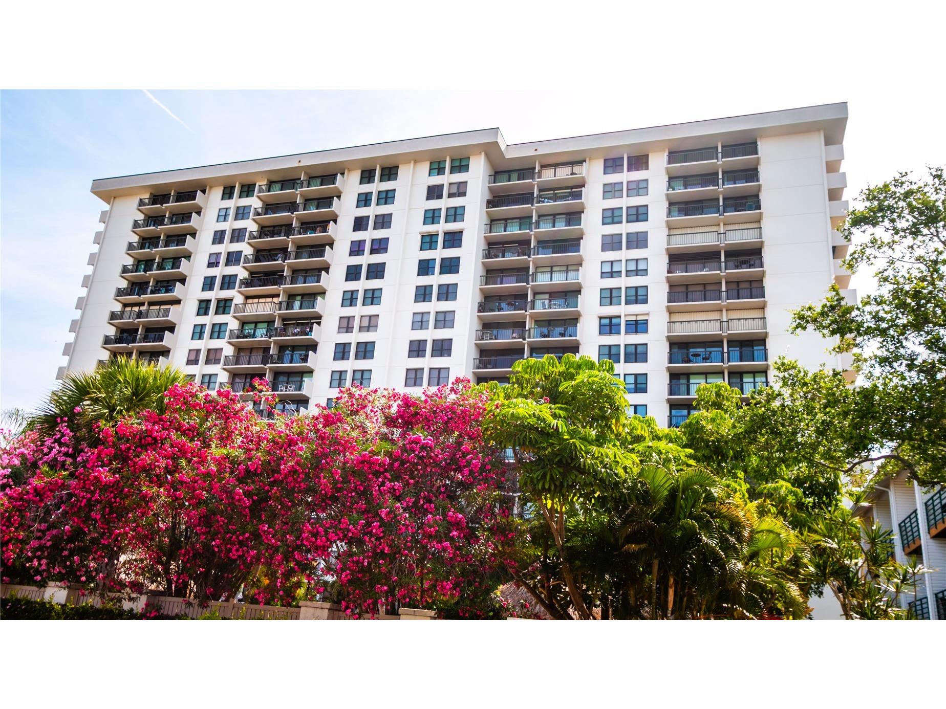 400 Island Way #212 Clearwater Beach FL 33767 TB8508210 image71