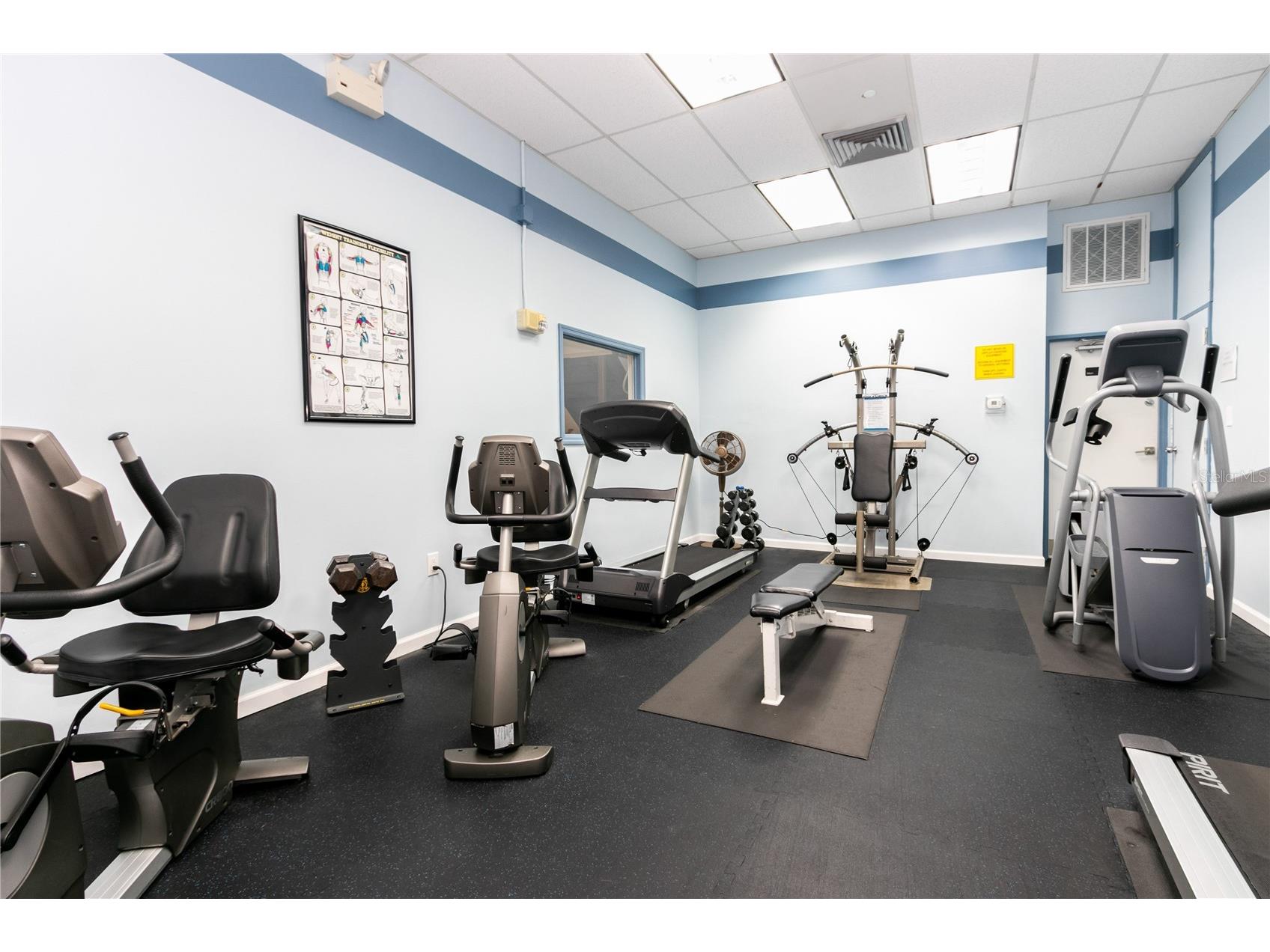 400 Island Way #212 Clearwater Beach FL 33767 TB8517673 image43