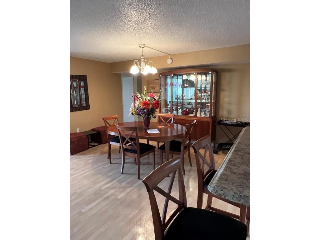 400 Island Way #309 Clearwater Beach FL 33767 TB8381249 image14