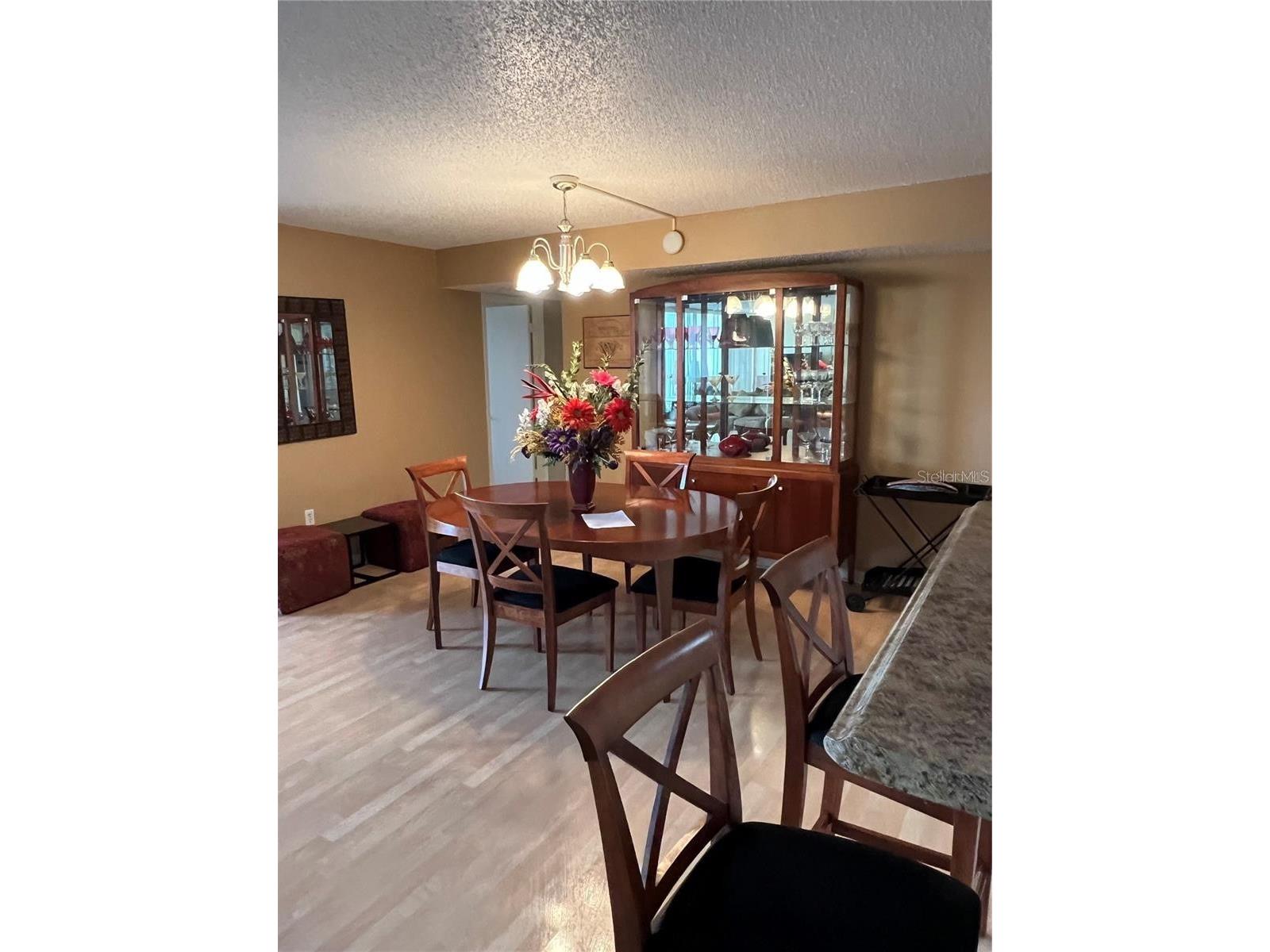 400 Island Way #309 Clearwater Beach FL 33767 TB8519153 image5