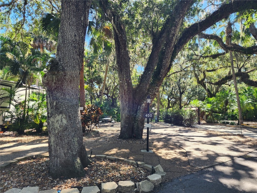 400 Longhorn Drive Lake Wales FL 33898 P4927024 image1