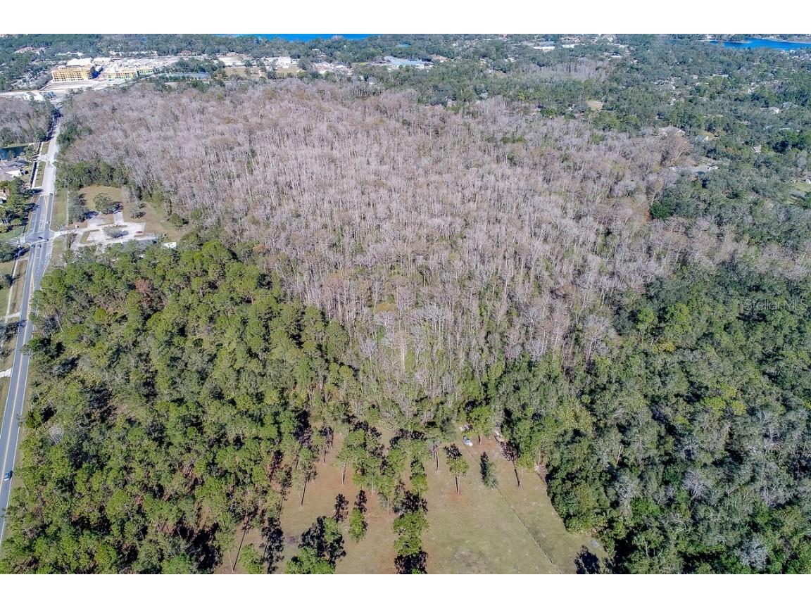 400 LONGWOOD Lake Mary Road Lake Mary FL 32746 O6351035 image7