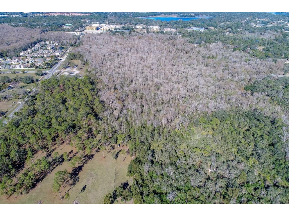 400 LONGWOOD Lake Mary Road Lake Mary FL 32746 O6351035 image8