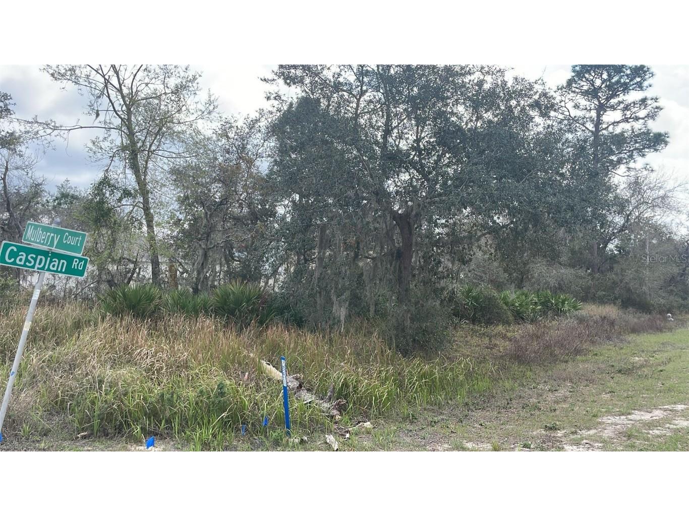 400 Mulberry Court Kissimmee FL 34759 O6282078 image1