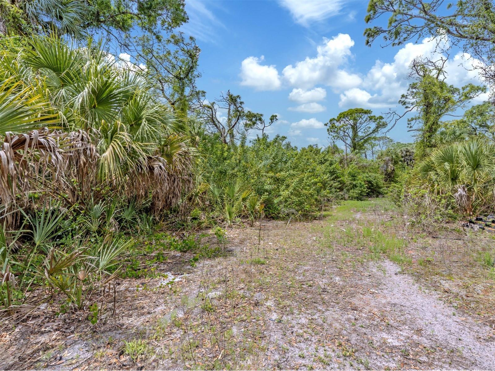 400 S Havana Road Venice FL 34292 N6143729 image18