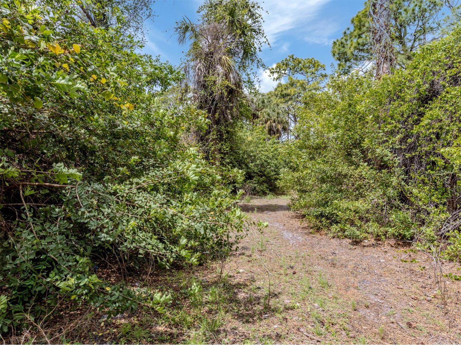 400 S Havana Road Venice FL 34292 N6143729 image19