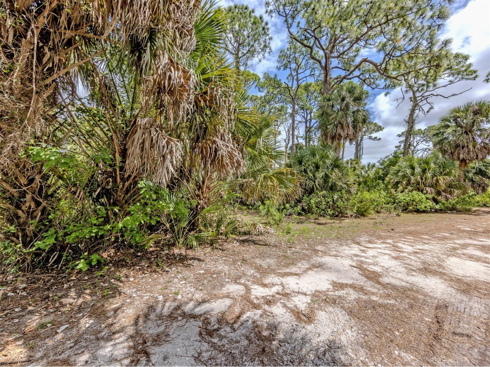 400 S Havana Road Venice FL 34292 N6143729 image22