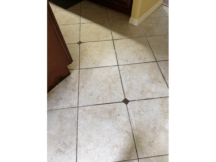 400 S Howard Avenue Lakeland FL 33815 L4960968 image15