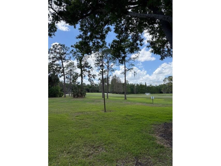 400 S Howard Avenue Lakeland FL 33815 L4960968 image36