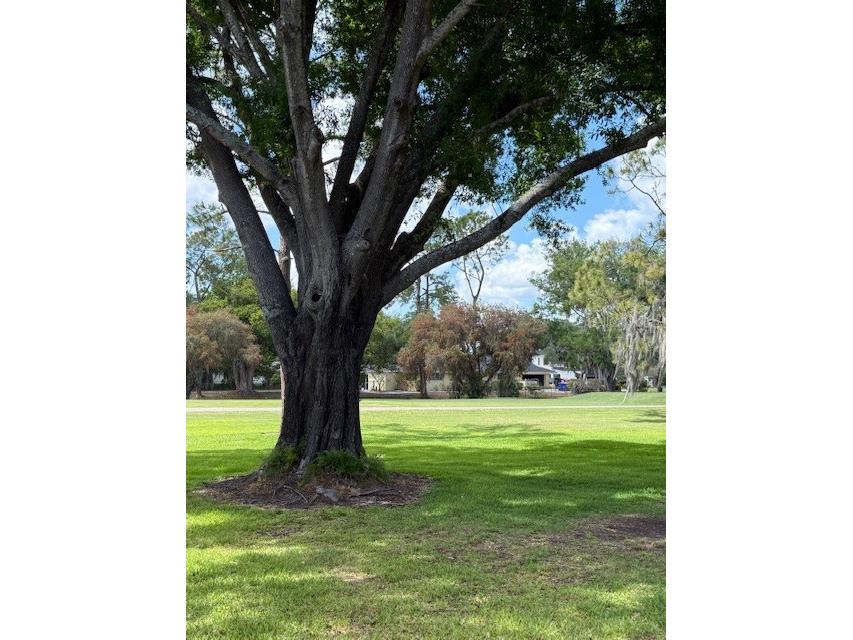 400 S Howard Avenue Lakeland FL 33815 L4960968 image41