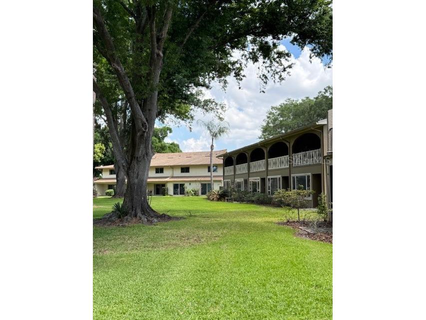 400 S Howard Avenue Lakeland FL 33815 L4960968 image42