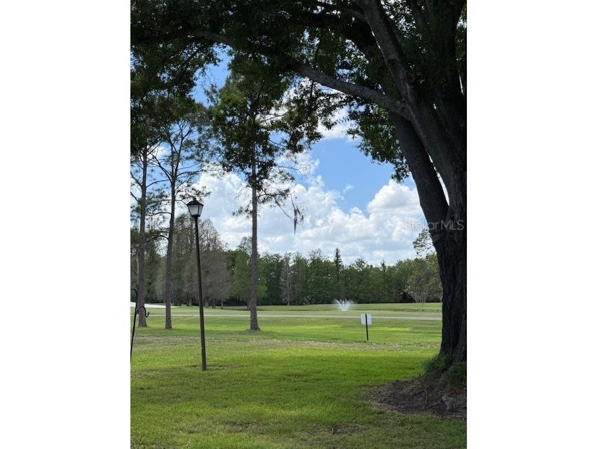 400 S Howard Avenue Lakeland FL 33815 L4960968 image44