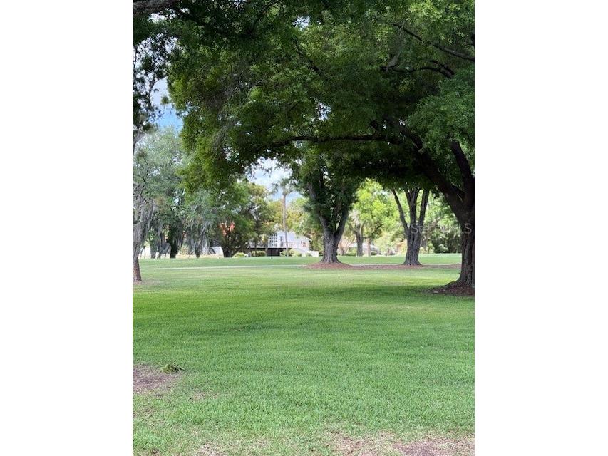 400 S Howard Avenue Lakeland FL 33815 L4960968 image49