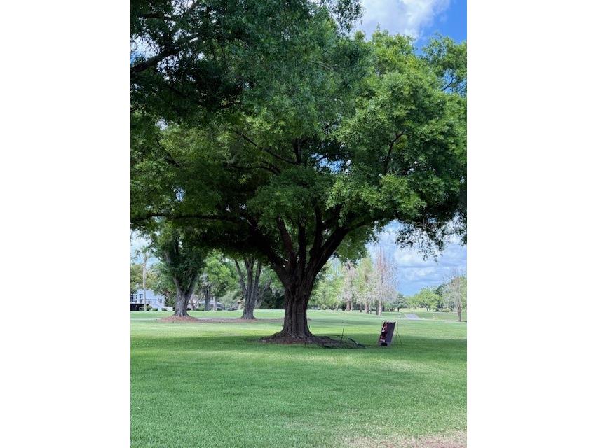 400 S Howard Avenue Lakeland FL 33815 L4960968 image52