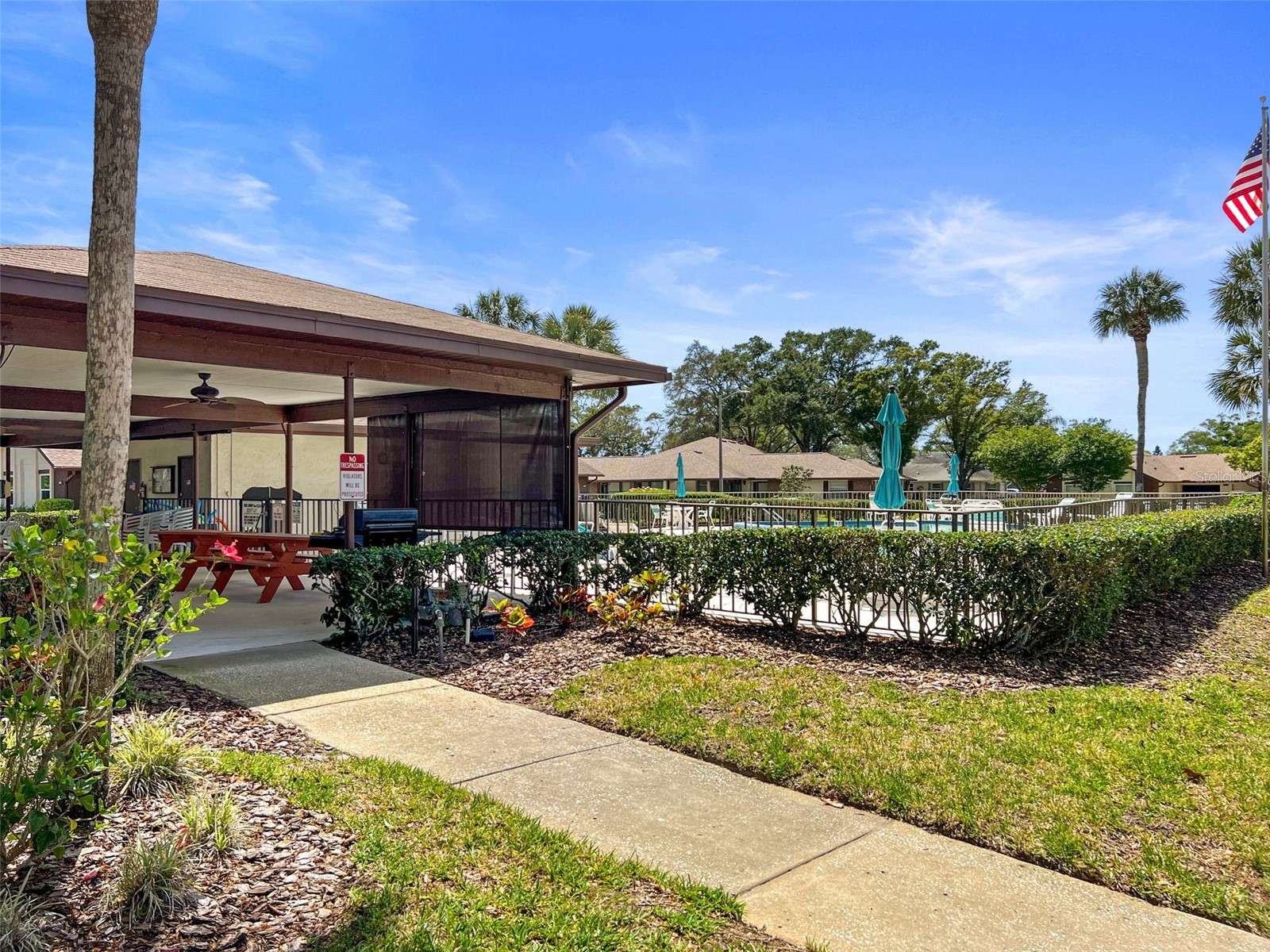 400 Stirling Terrace Dunedin FL 34698 TB8504515 image31