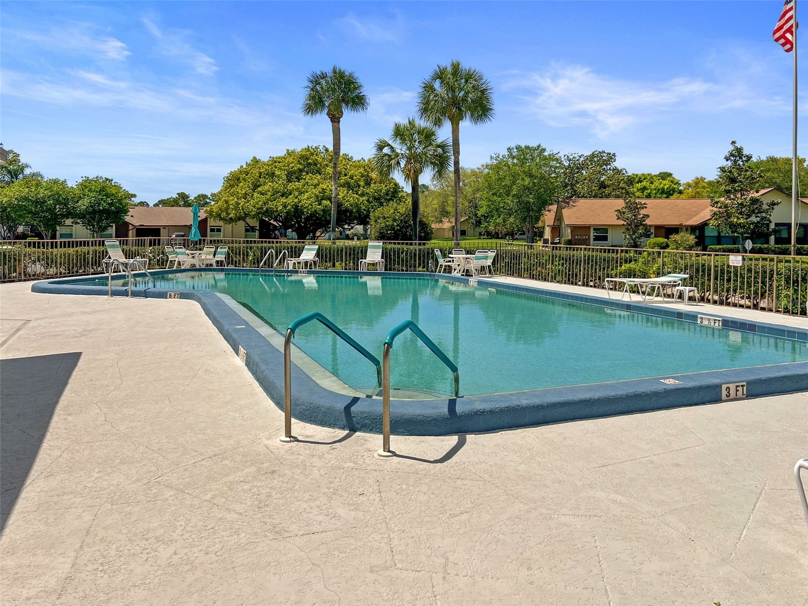 400 Stirling Terrace Dunedin FL 34698 TB8504515 image4
