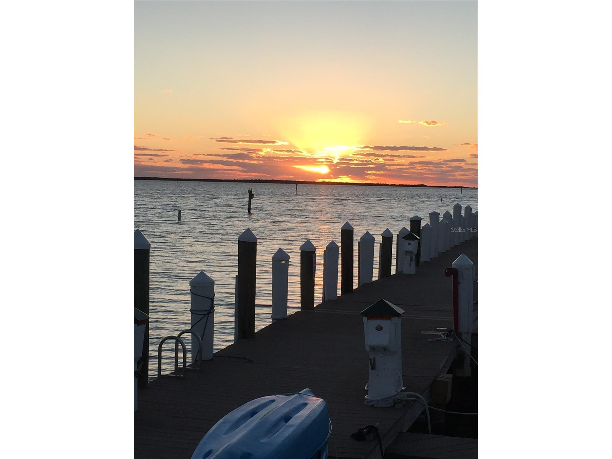 400 Stirling Terrace Dunedin FL 34698 TB8504515 image49