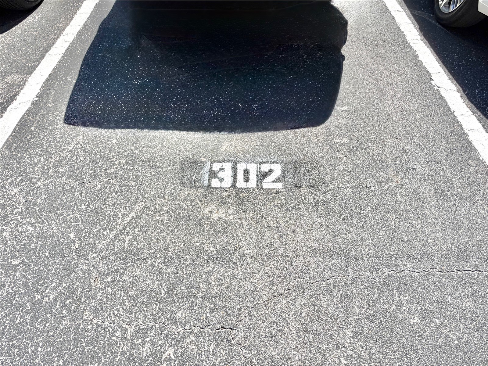 4000 3rd Street N #302 Saint Petersburg FL 33703 TB8489817 image35