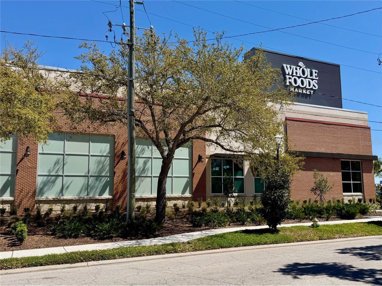 4000 3rd Street N #302 Saint Petersburg FL 33703 TB8489817 image39