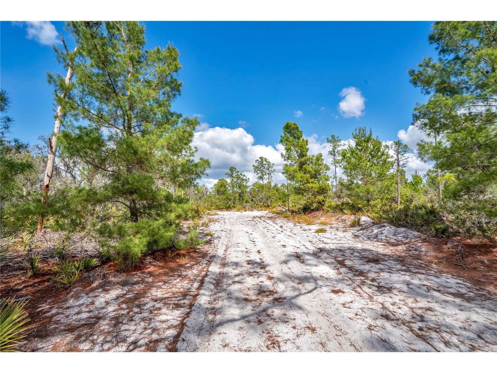 4000 Lomonico Road Sebring FL 33875 S5144050 image2
