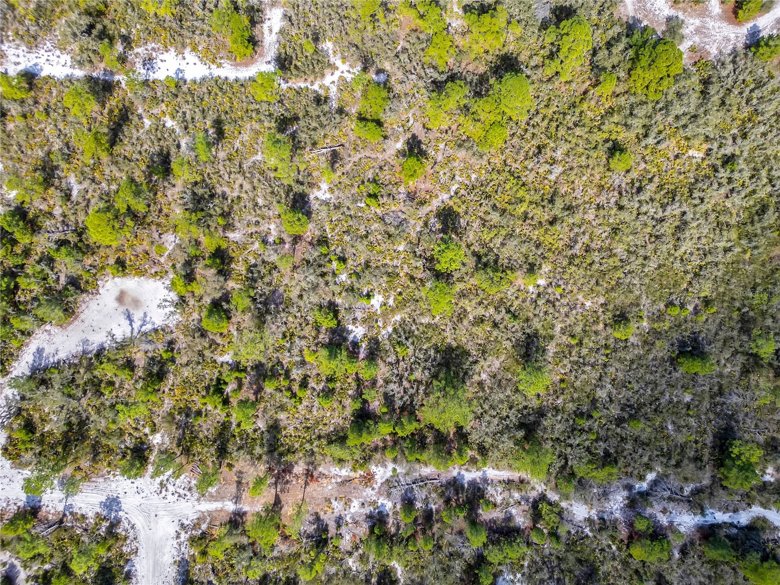 4000 Lomonico Road Sebring FL 33875 S5144050 image26