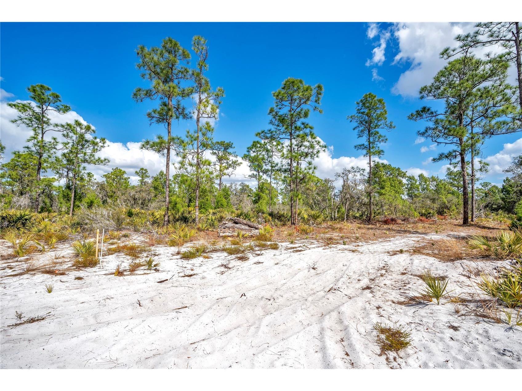 4000 Lomonico Road Sebring FL 33875 S5144050 image3