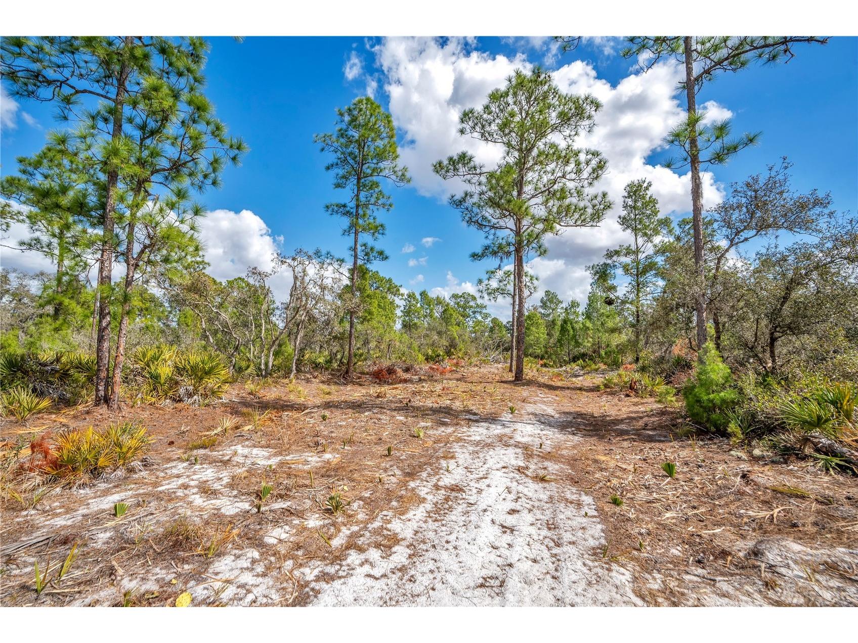 4000 Lomonico Road Sebring FL 33875 S5144050 image4