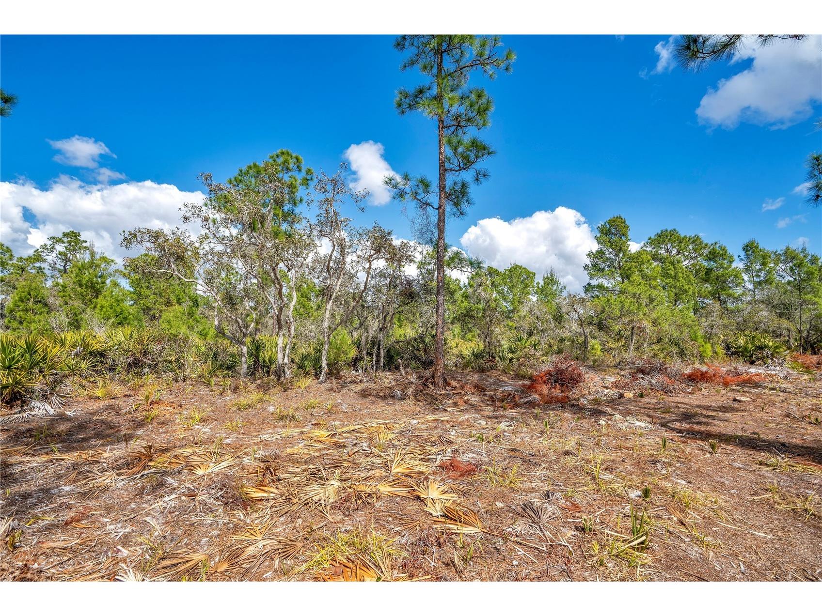 4000 Lomonico Road Sebring FL 33875 S5144050 image5