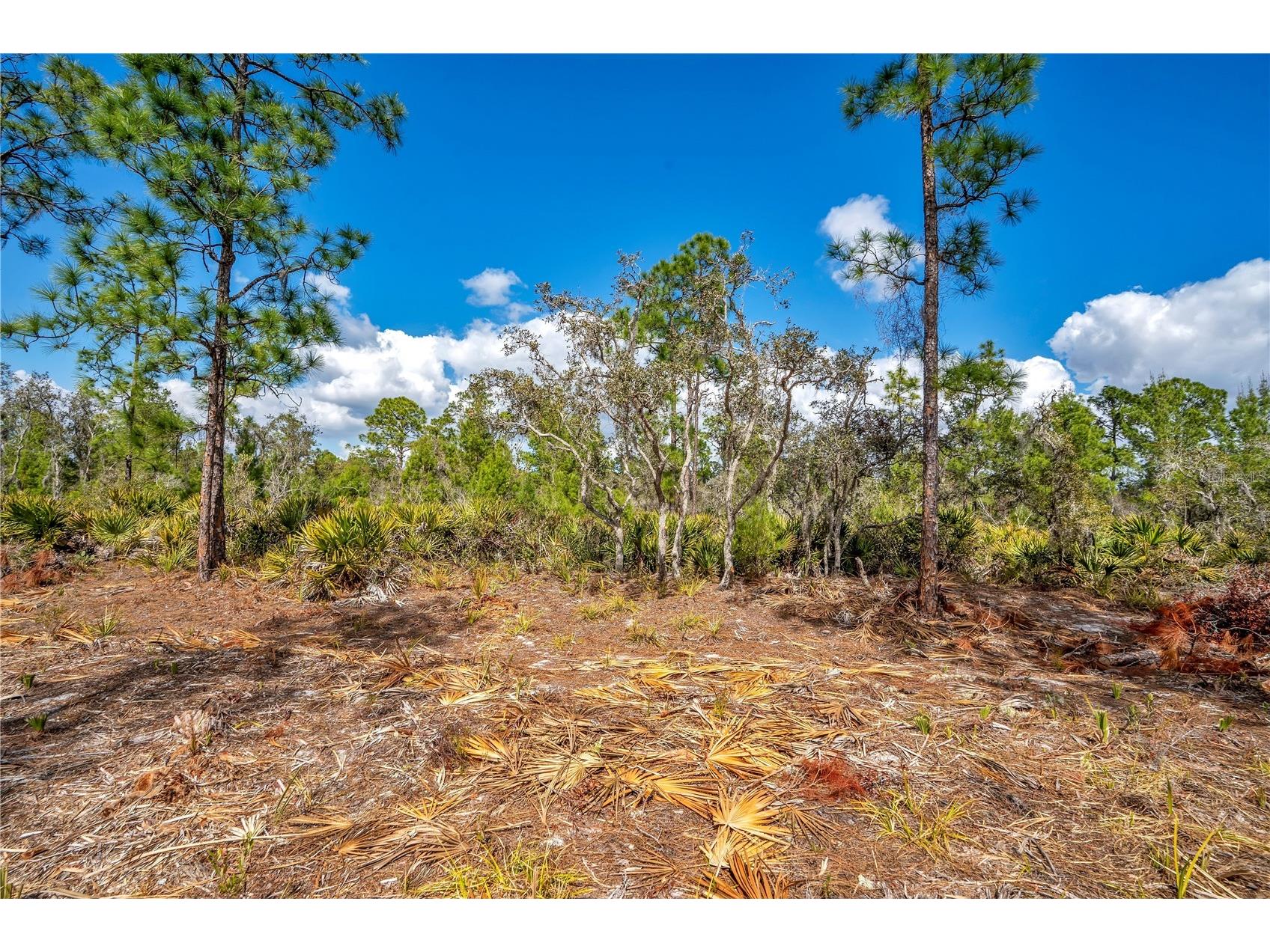4000 Lomonico Road Sebring FL 33875 S5144050 image6