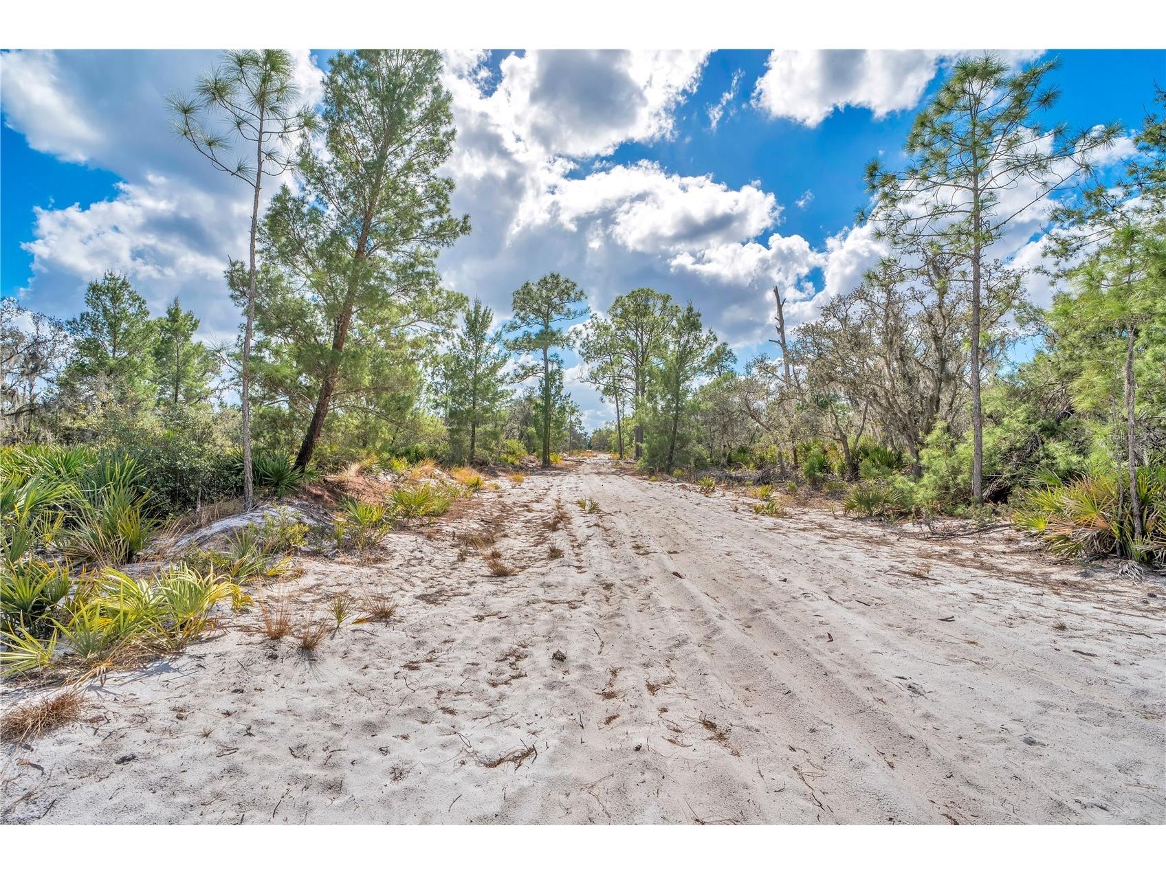 4000 Lomonico Road Sebring FL 33875 S5144050 image7