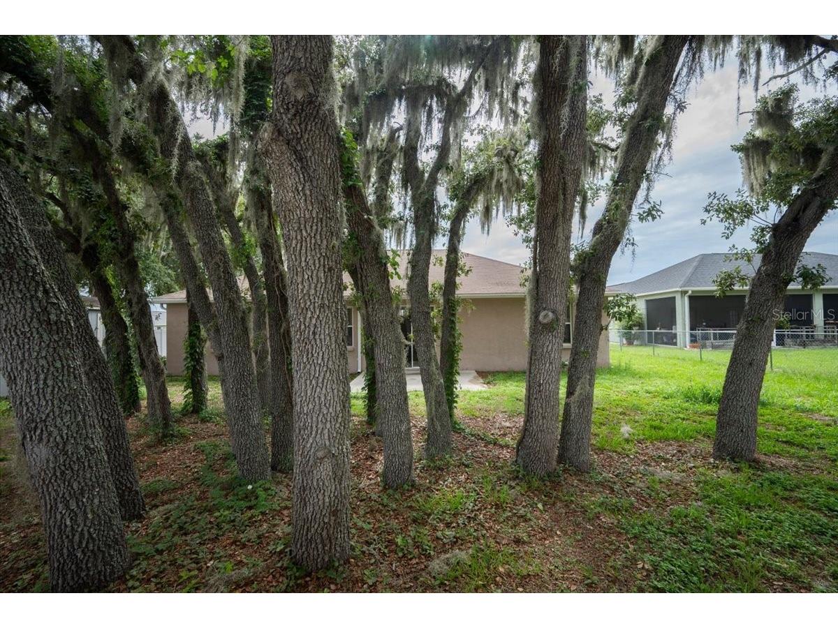 4000 Oak Preserve Drive Winter Haven FL 33880 L4962513 image32