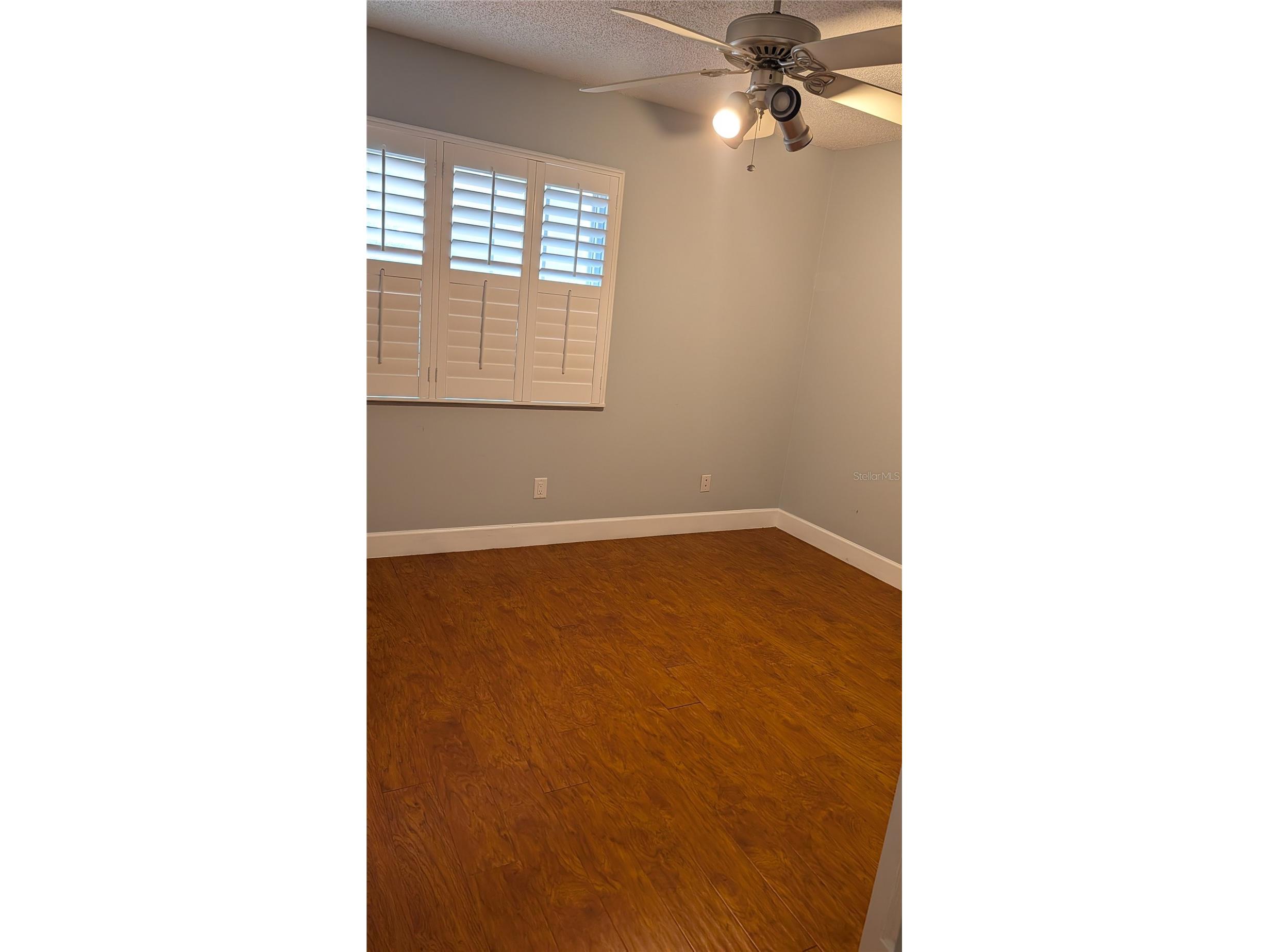 4000 Poinciana Court Palm Harbor FL 34684 TB8519249 image20